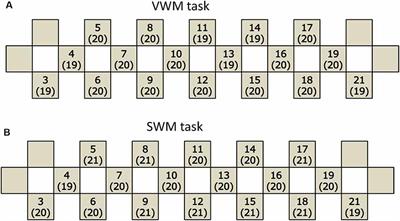 Working Memory-Related Prefrontal Hemodynamic Responses in University Students: A Correlation Study of Subjective Well-Being and Lifestyle Habits